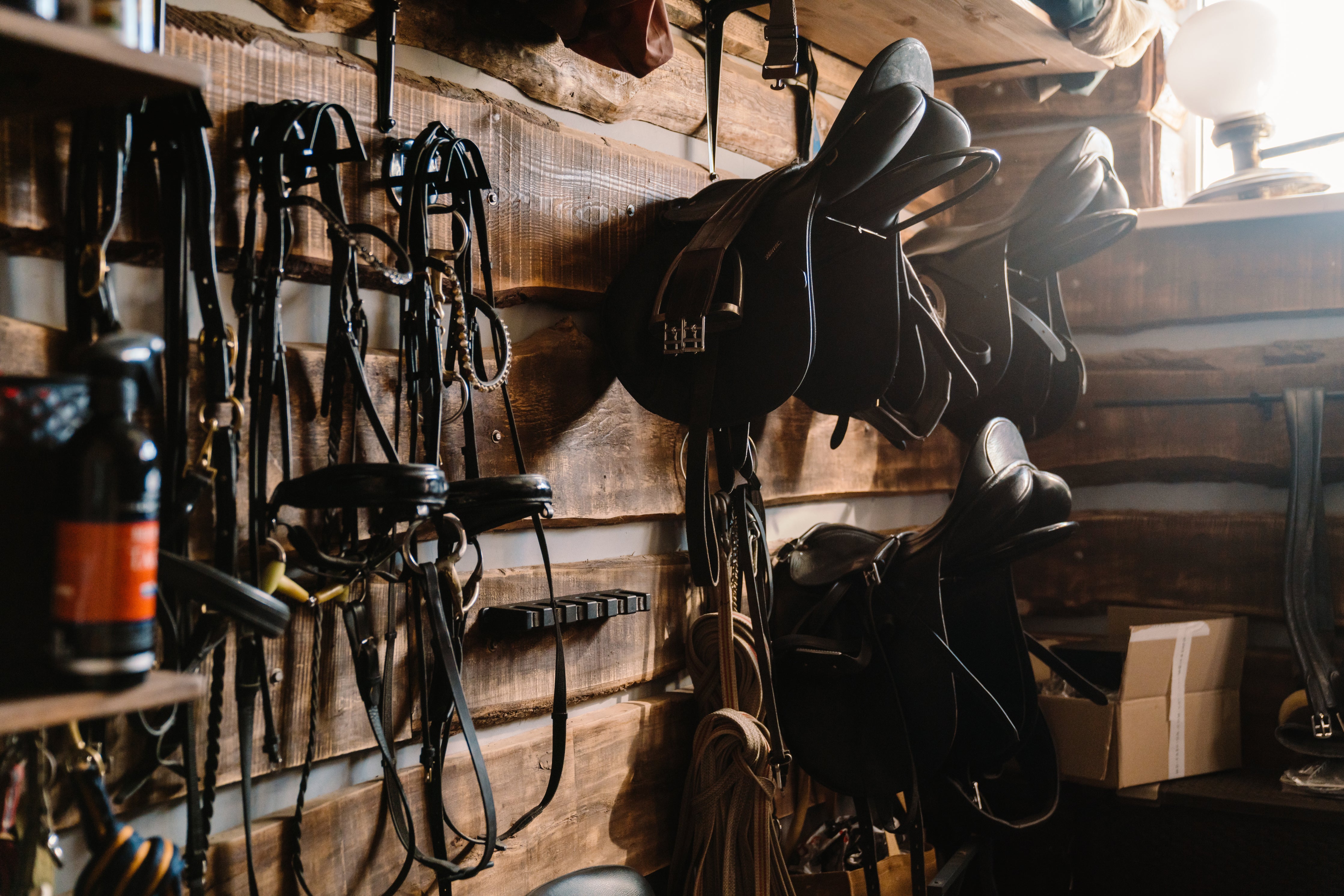 Horse Accessories – Saddles N' Stuff