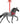 Breyer (Ornament) Tennessee Walking Horse | Beautiful Breeds Ornament