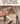 Know first aid for your horse (Farnam horse library) Paperback – January 1, 1974