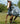 Bucas Buzz Off Fly Sheet - Full Neck