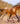 Breyer (Freedom Series) Buckskin Blanket Appaloosa