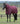 Weatherbeeta ComFiTec Essential Turnout Detach-A-Neck 220G