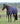 Weatherbeeta ComFiTec Essential Turnout 0G