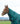 Weatherbeeta ComFiTec Classic Turnout Neck Cover 220G