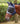 Shires FlyGuard Pro Fine Mesh Fly Mask with Ears & Open Forelock