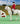 Breyer (Traditional) Brenda - Show Jumper 8" Figure