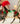 Breyer (Traditional) Christmas in Bloom | 2025 Holiday Horse