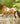 Breyer (Freedom Series) Red Dun Pintaloosa