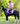 Breyer (Freedom Series) English Horse & Rider