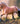 Breyer (Traditional) Sweetwater's Zorah Belle