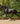 Breyer (Traditional) Atlanta