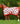 Breyer (Traditional) Traditional Colorful Blanket