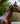 Breyer (Traditional) Halter with Lead