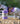 Breyer (Freedom Series) Barrel Racing Set