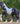 Breyer (Traditional) Battlefield Angel HP