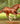Breyer (Traditional) Secretariat