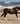 Breyer (Traditional) Surfer's Riptide | Chincoteague Pony