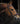 Signature Raised Padded Bridle