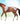 Breyer (Freedom Series) Red Dun Pintaloosa