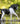 Breyer (Traditional) Spanish Horse | Breyer 75th Anniversary
