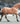 Breyer (Traditional) Sweetwater's Zorah Belle