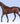 Breyer (Traditional) Cody's Wish