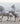 Breyer (Stablemates) Brilliance Gift Set | 75th Anniversary Limited Edition