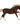 Breyer (Traditional) Surfer's Riptide | Chincoteague Pony