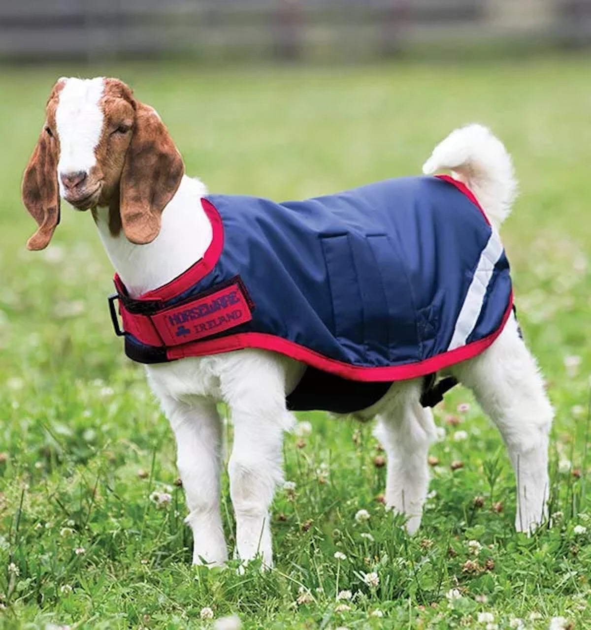 Horseware® Goat Coat – Saddles N