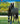 Molly the Pony: A True Story (My Readers) Hardcover – June 5, 2012