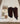 Ariat Classic Half Chaps Chocolate Large