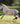 Breyer (Traditional) Jaguel Hilton | Criollo Stallion