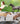 Breyer (Stablemates) Mountain Ranch Gift Set