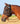 Cashel Quiet Ride Horse Fly Mask No Ears or Nose, Standard, Warmblood, Black