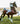 Breyer (Traditional) The Ideal Series | Pinto