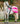 Horseware® Newmarket Exercise Sheet