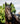 Horseware® Newmarket Ear Net