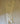 Tailored Sportsman Breech White 34