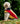 Horseware® Newmarket Dog Fleece