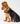 Horseware® Newmarket Dog Coat